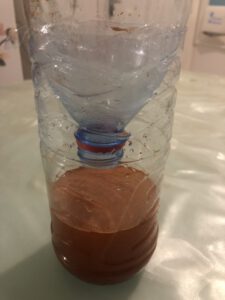piège_guêpe_pas_cher
