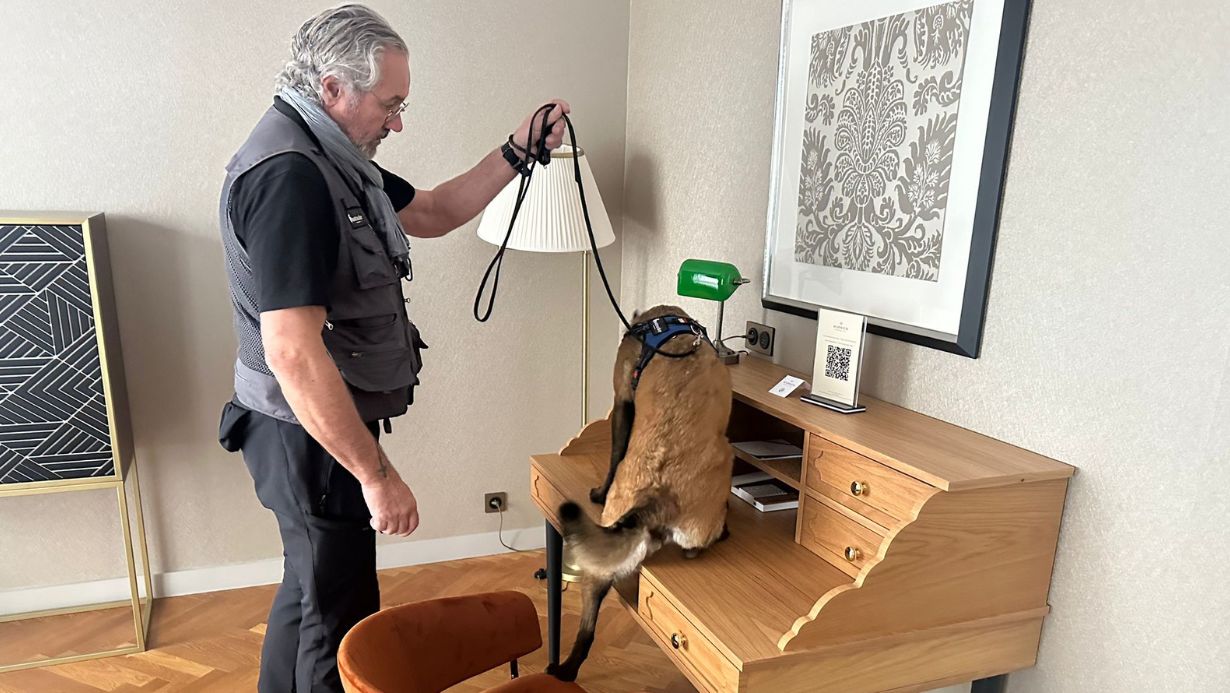 6notracker : Un Test Rigoureux Validé par Huissier pour une Détection Canine Efficace